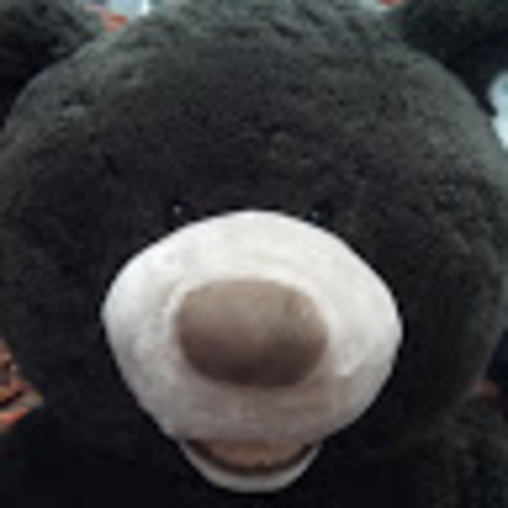 Meet your Posher, Yana